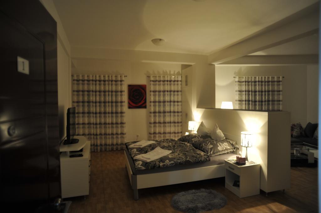 Apartment Jovana Niksic Room photo